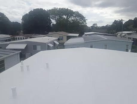 Our Roofs 5